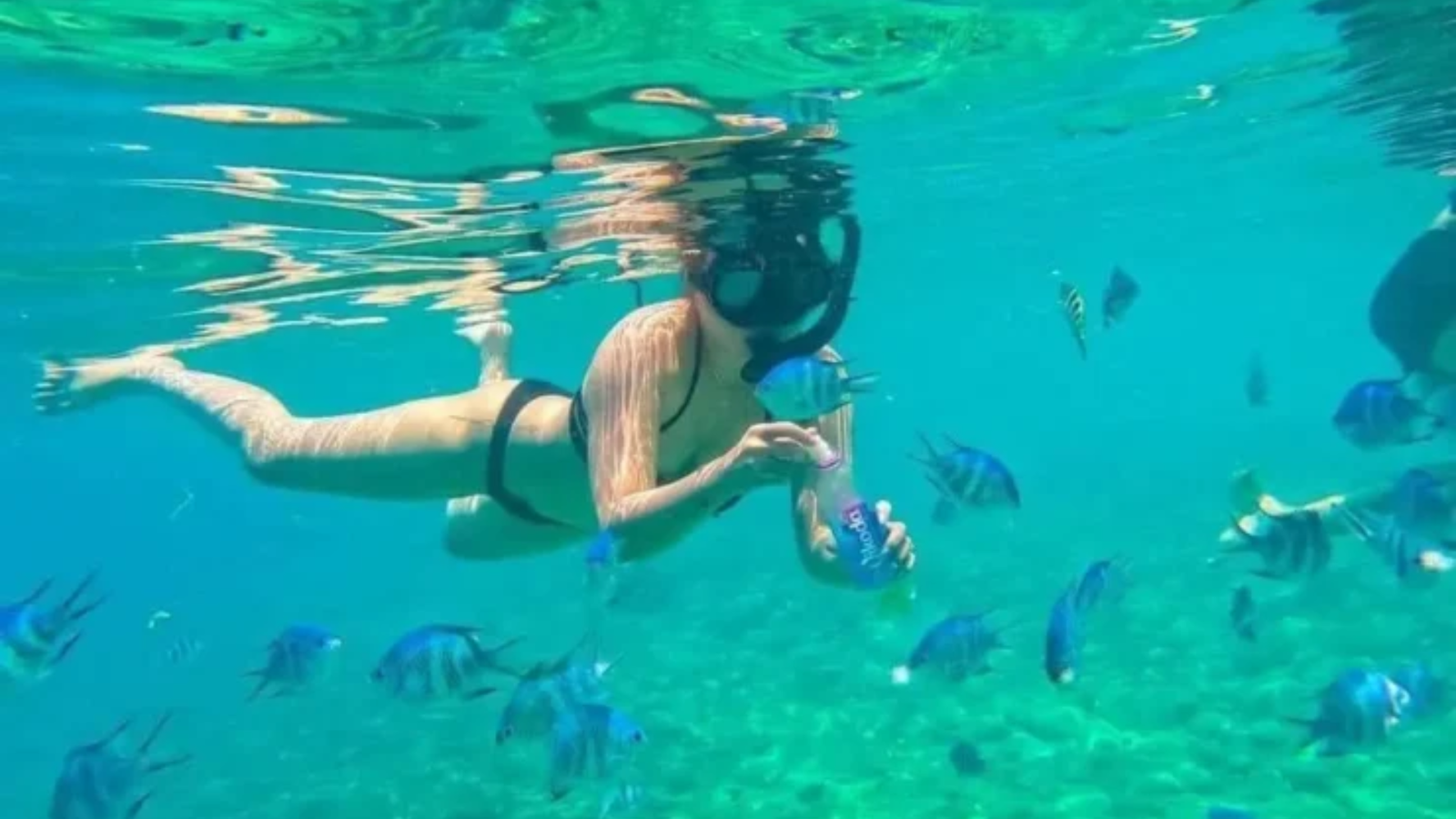 Tour Snorkeling to Hon Mun Coral Reef (3)